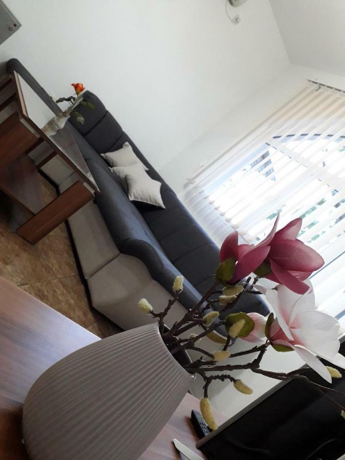 טרביניה Apartman Samardzic מראה חיצוני תמונה